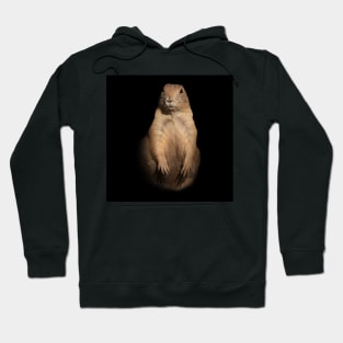 Prairie dog Hoodie